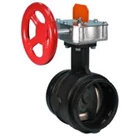 Butterfly Valve VICTAULIC 705 4 Inch 1