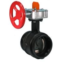 Butterfly Valve VICTAULIC 705 4 Inch